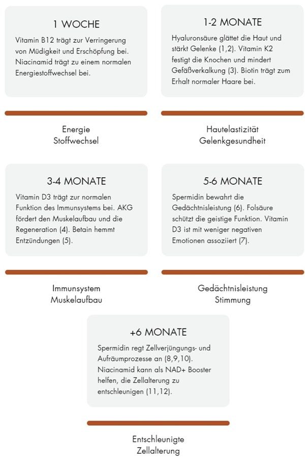 zell boost erfahrung