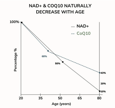 Nad+ abnahme